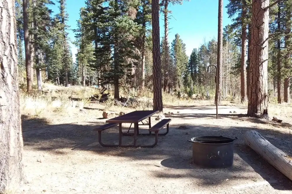 grand-canyon-national-park-camping-demotte-campground-kaibab-nf 2 (1)