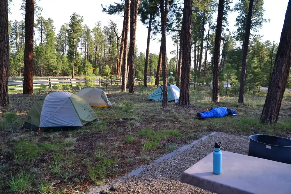 grand-canyon-national-park-camping-jacob-lake-campground-kaibab-nf 4