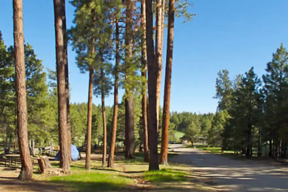 grand-canyon-national-park-camping-kaibab-camper-village 4