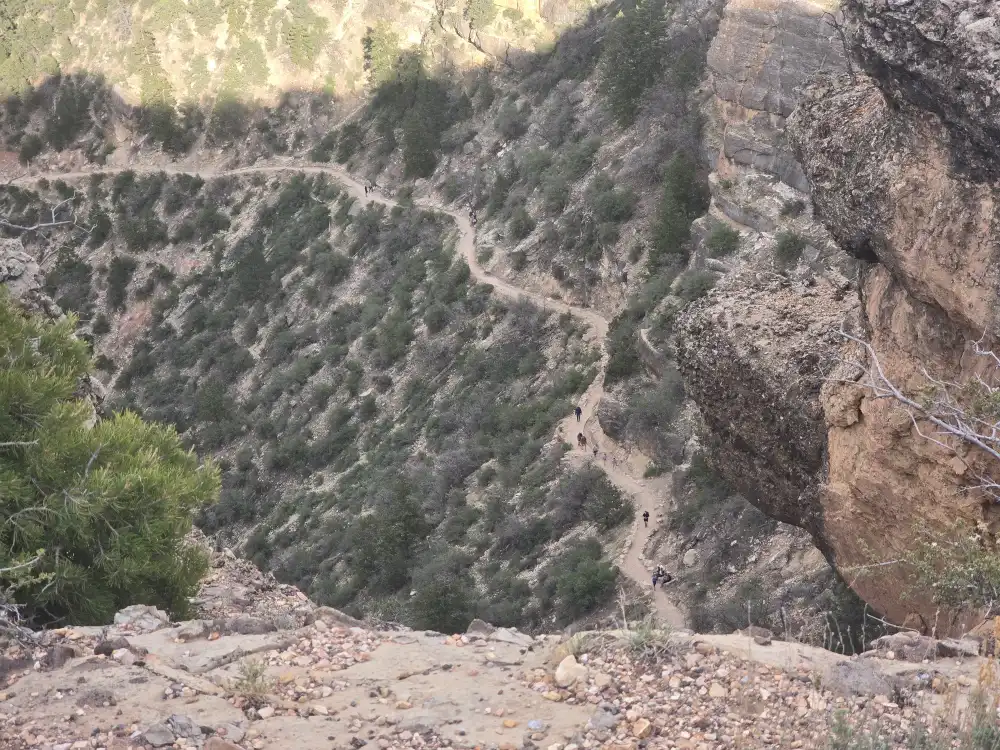 mather point