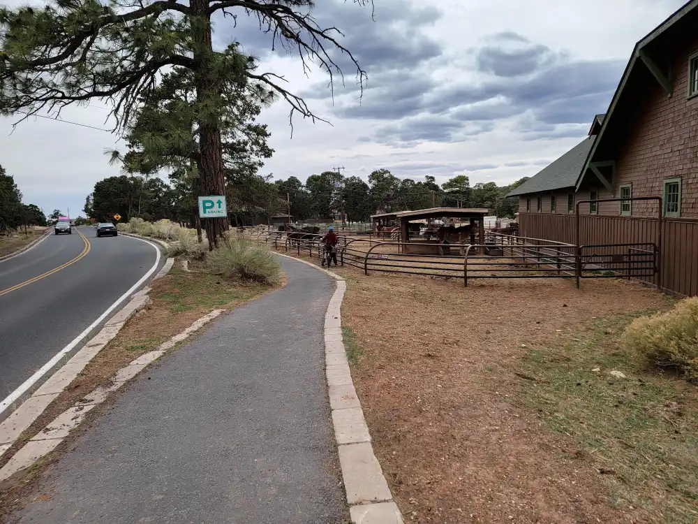 grand-canyon-national-park-mule-rides 1