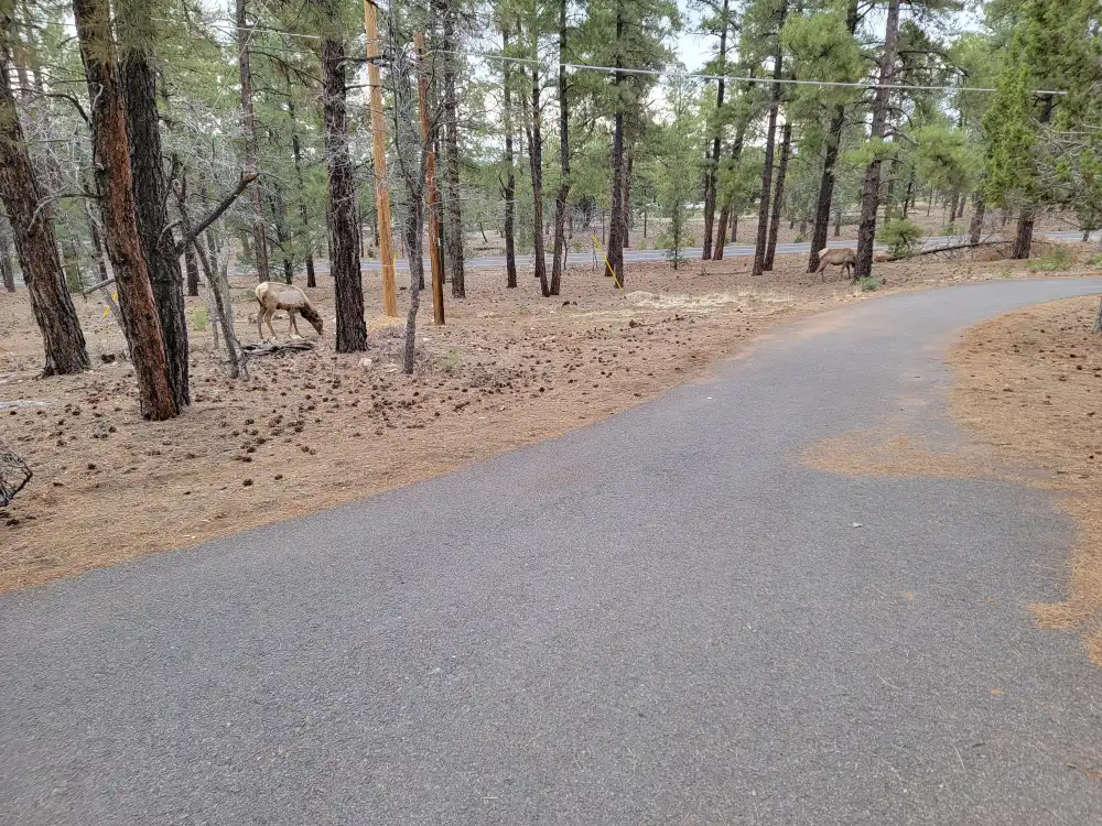 grand-canyon-national-park-trails-grand-canyon-greenway 6