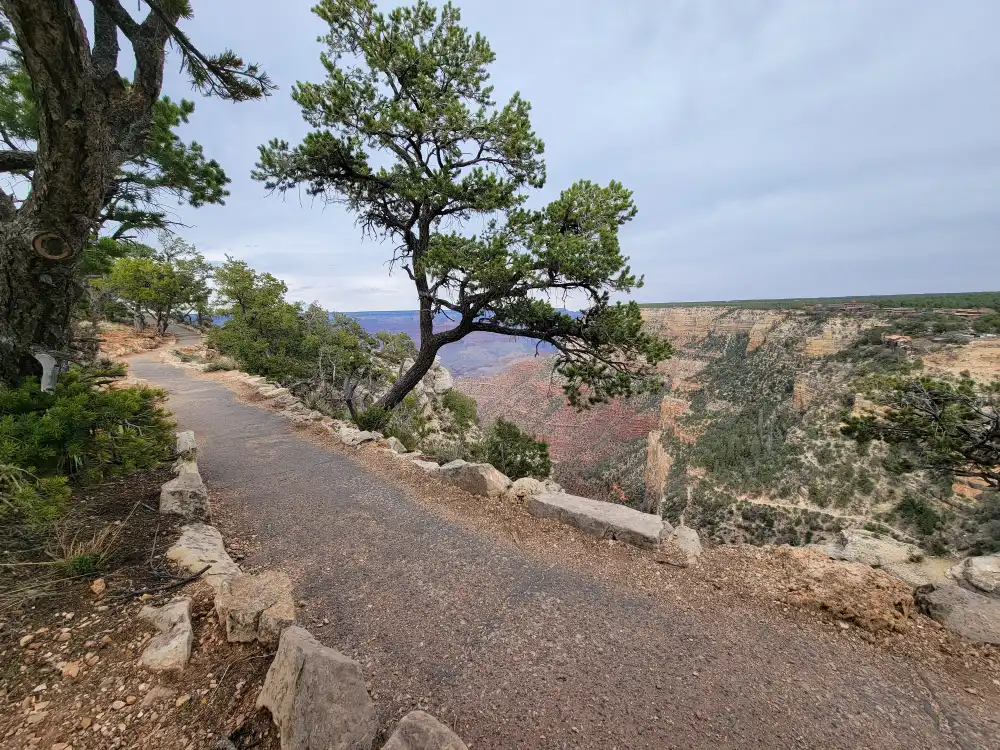 grand-canyon-national-park-trails-rim-trail 4